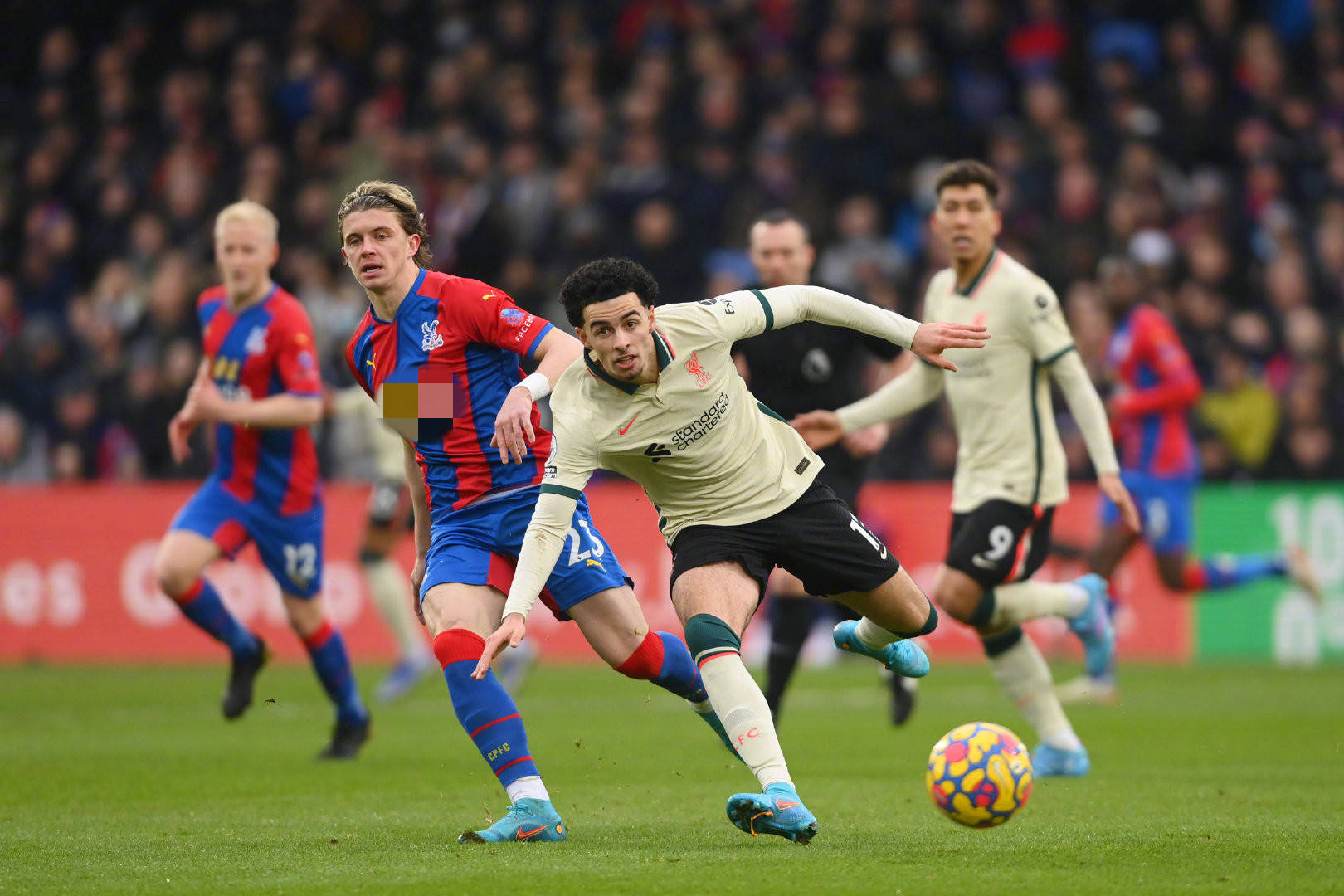 的文化遗产 的文化遗产